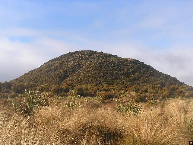 Steward Island 013.jpg